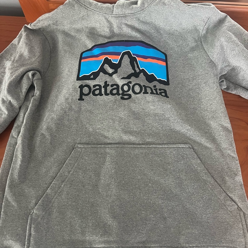 Patagonia Gray Hoodie with Logo